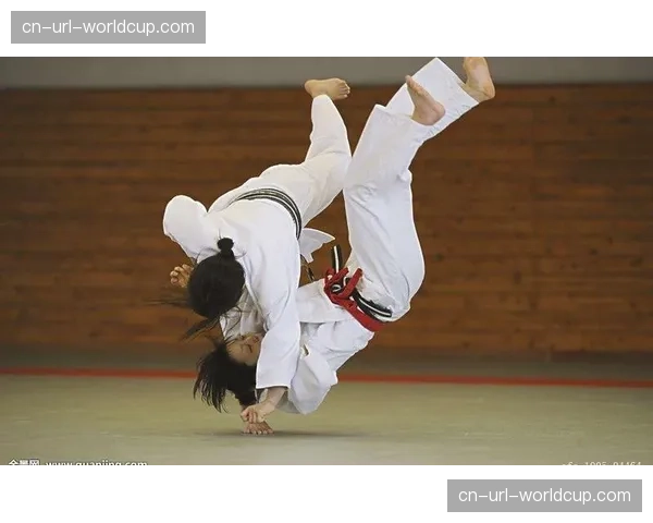 柔道主题纪录片《投之形》上映，讲述这项运动如何改变边缘少年人生